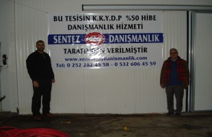 Sentez My Danışmanlık