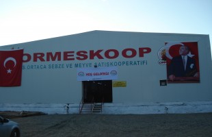 ORTACA MEYVE SEBZE TARIM SATIŞ KOOP.